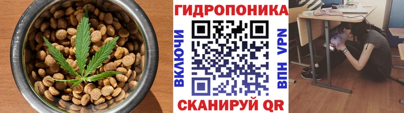дарнет шоп  Белореченск  Cannafood конопля 