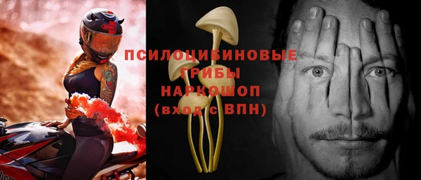 сатива Алексеевка