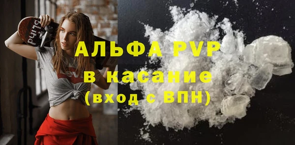сатива Алексеевка