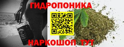 прущие грибы Среднеуральск