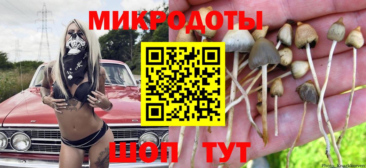 Галлюциногенные грибы GOLDEN TEACHER Белореченск